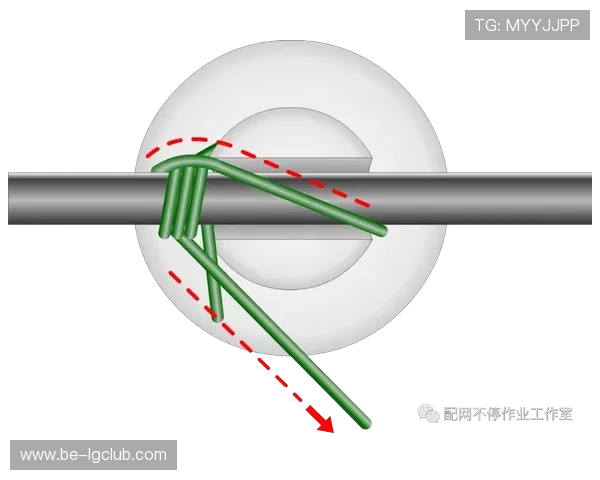 国外足球运动员手托球现象解析及规则影响探讨