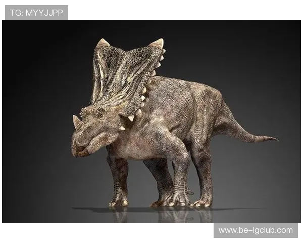 玄武是谁足球的象征意义及其在体育文化中的独特地位解析